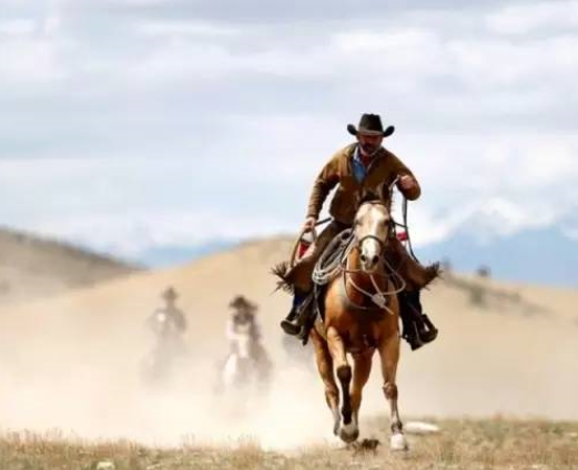 马背英雄:美国西部开发先锋 稳重奋进成文化标