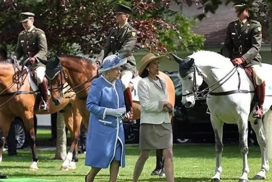 爱尔兰军队马术学校:隶属国防军 为奥运培养骑