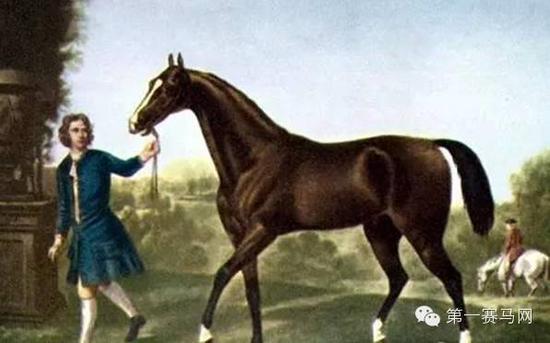 1赛马网:赵志恒谈相马 优秀家族加近亲繁育是