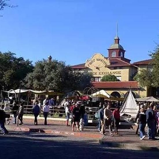 美国前总统自诩德州牛仔 牛仔文化为何能传承