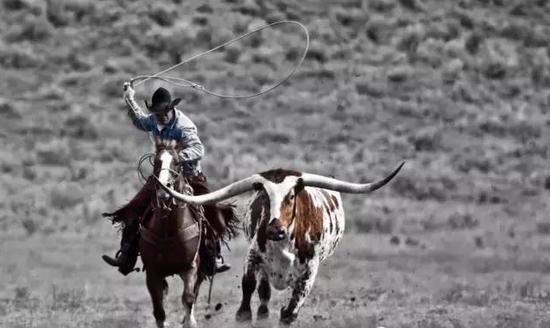 苦力工作成了国粹文化 美国牛仔十大生活准则