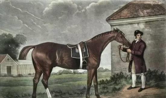 ▲图/George Stubbs，‘日蚀’
