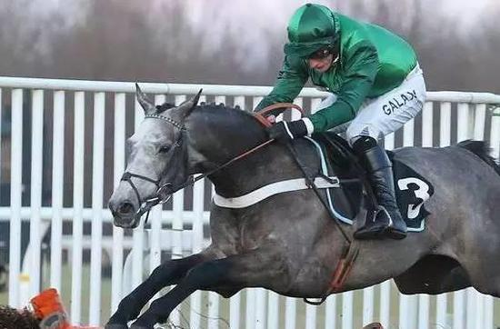 ▲图/Racing Post