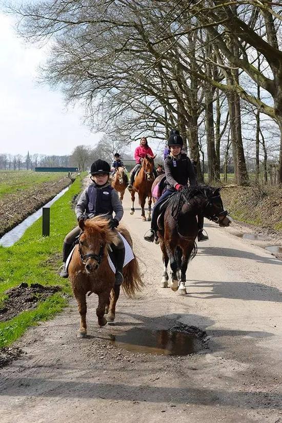 儿童学马术成流行 瑞士教练解答儿童如何安全