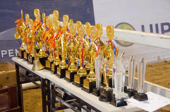 岁末再回首大事记 马术2015北京马协年度大事