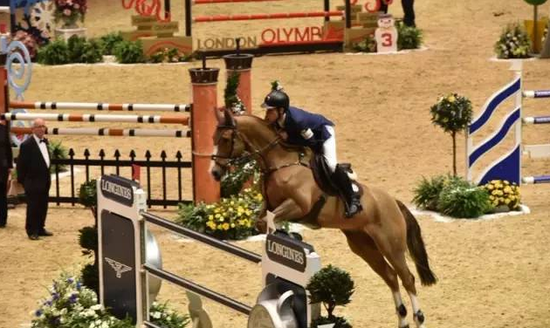 榜单来袭!东征西站创巅峰 场地障碍赛王者落谁