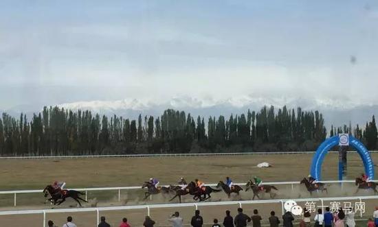 新疆六洲国际赛马场