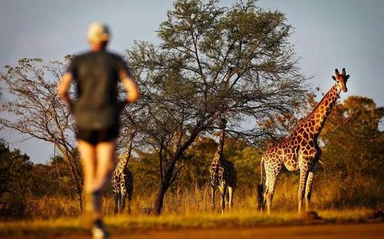 心长草的9个马拉松赛 你心动的有几个_跑步频