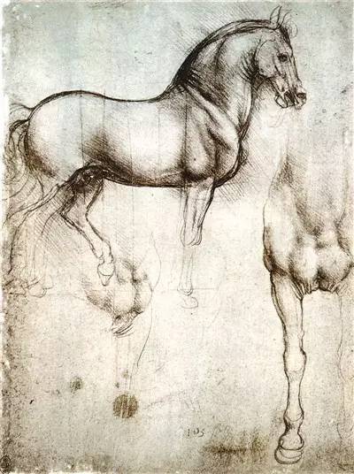 莱奥纳多·达·芬奇《马的素描》，约1490年，英国温莎堡皇家图书馆藏