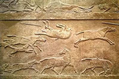 猎杀野马，公元前九世纪亚述王宫石灰石浮雕，大英博物馆藏