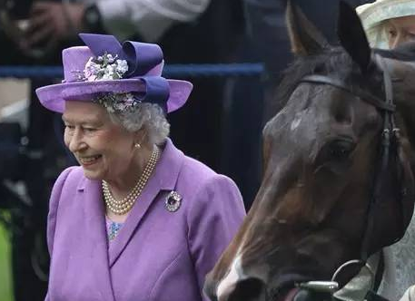 皇家艾斯科特赛马节，女王与自己名下的赛马Estimate