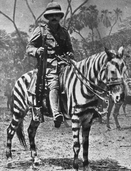 1915年，一战东非战场，英军一匹伪装成斑马的pony。