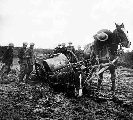 英军部队，一匹拉车的战马，躺在地上，不能动弹。