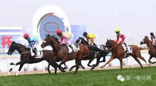 从迪拜到成都!世界级赛马落户中国 背后原因何