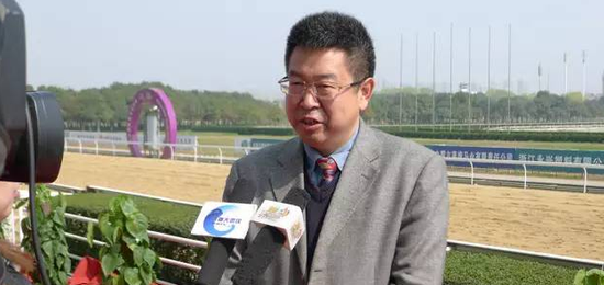 2016年武汉速度赛马全新起航 欲打造千万级赛