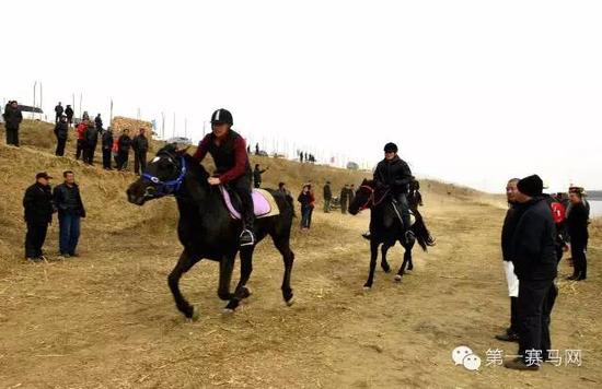 中国西部马术促进会河北会2016“新春第一骑”活动