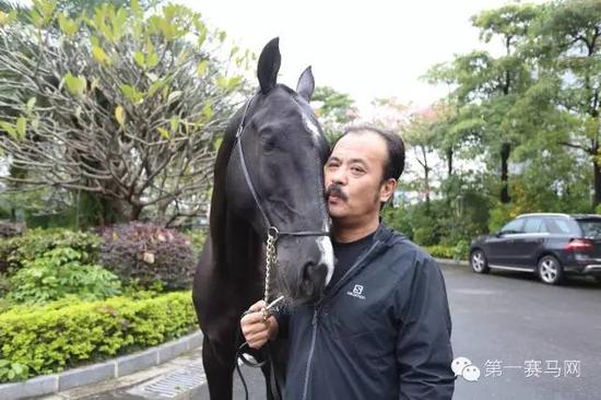 陈志峰全球汗血马之王携汗血马为汉武帝守陵