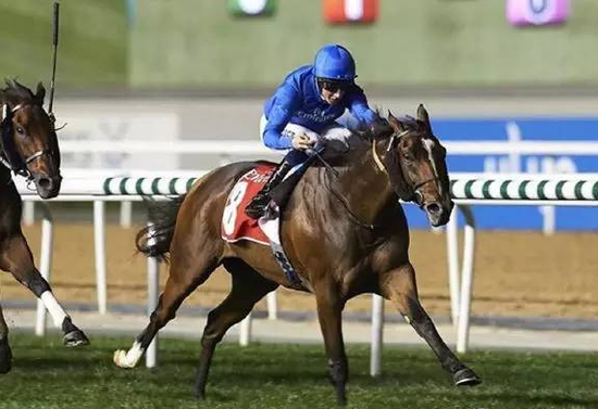 ▲图/Meydan Racecourse