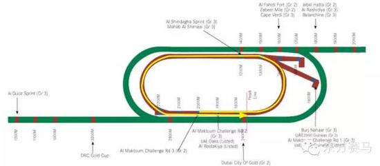 ▲图/Meydan Racecourse