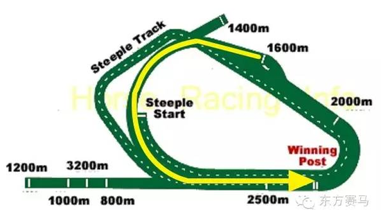▲图/HorseRacingInfo