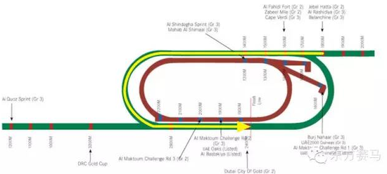 ▲图/Racing and Sports