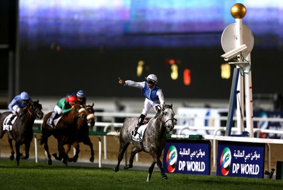 2016迪拜赛马世界杯精彩赛程