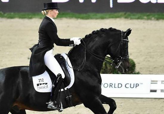 哥德堡刮起马术旋风!盛装舞步世界杯总决赛来袭 _马术_新浪竞技风暴_新浪网