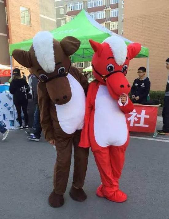 为推广马术运动 大学社团运马进校园 感受马的