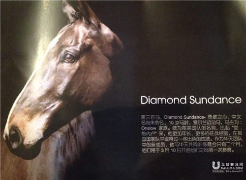 Daimond Sundance 摄影/Mattew Seed（世界著名马摄影家）
