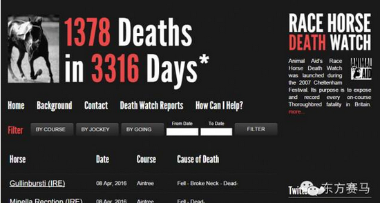 ▲图/Race Horse Death Watch