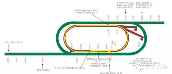 ▲图/Meydan Racecourse