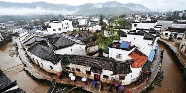 油菜花马拉松花样赛道赏析