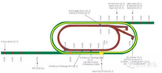 ▲图/Meydan Racecourse