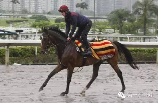 爱尔兰代表“高地之舞”在泥地跑道作慢跑操练