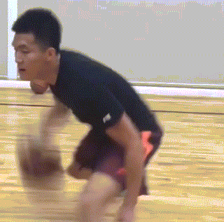 壁纸 动物 狗 狗狗 320_317 gif 动态图 动图