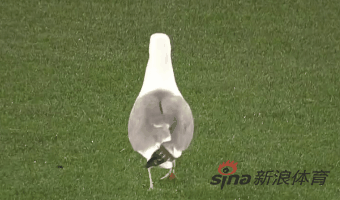 340_200gif 动态图 动图