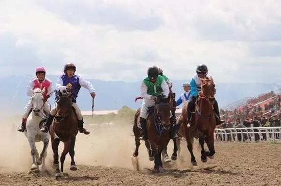骑马赏花 中华民族大赛马裕民山花杯开赛在即