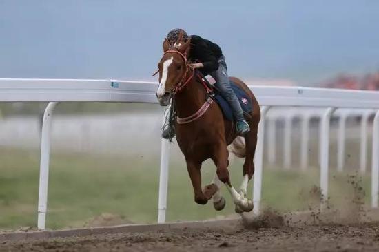 裕民县中华民族大赛马赏花 新疆人山人海观众