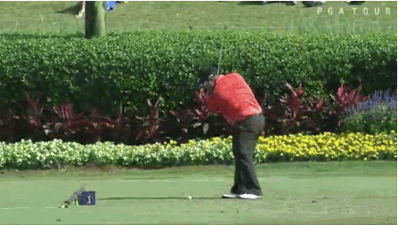 惊喜!阿菲巴拉特开球不敢看 落点完美抓死鸟(gif)