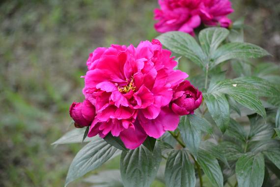 高清-星辰商学院校园掠影