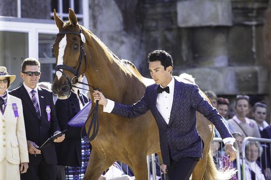 华天身着Gieves & Hawkes 新设计的晚礼服，与战马“派大星”参加伯明顿宫大赛的验马仪式 摄影：Libby Law