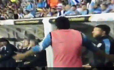 看看苏神没进大名单多么愤怒