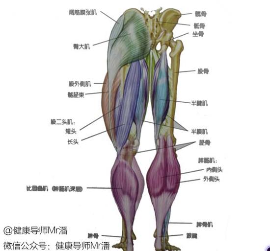 德国妹子跑成网红险跑废双腿 如何应对跑步伤