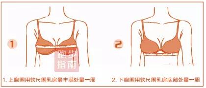 2,确定你的罩杯大小