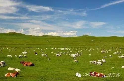 鄂尔多斯旅游攻略10月 7RVc-fxtspsa6466105.jpg