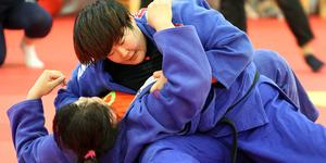 中国柔道队备战里约奥运