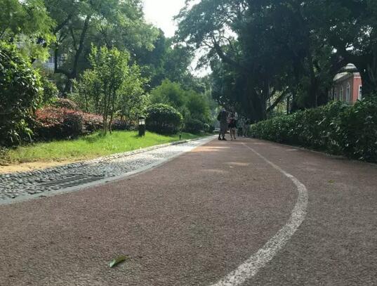 如何霸朋友圈跑步达人 快来get荔湾最佳跑步路线