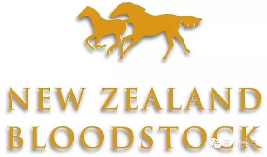 新西兰纯血马拍卖行