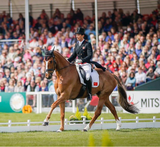 中国骑手华天和马匹派大星在 2016 伯明顿三项赛越野赛盛装舞步比赛中（© 夏原浦）