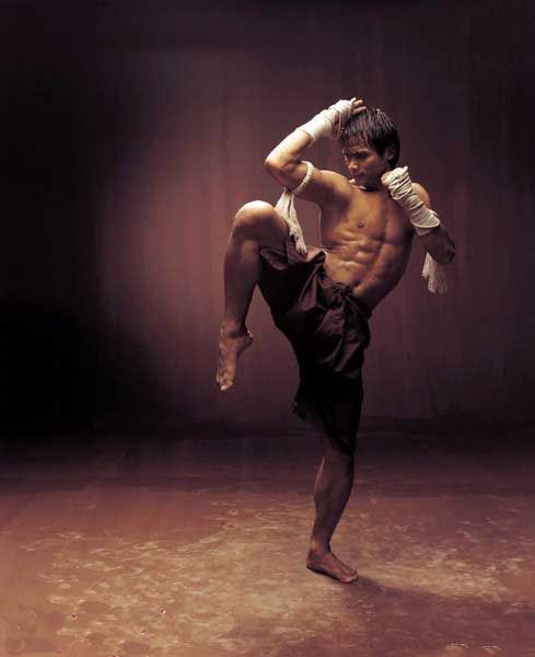 拳坛大杀器携手走进荧屏 真实格斗引领动作电